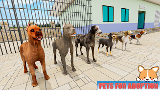 Schermata Animal Shelter: Pet World Game 1