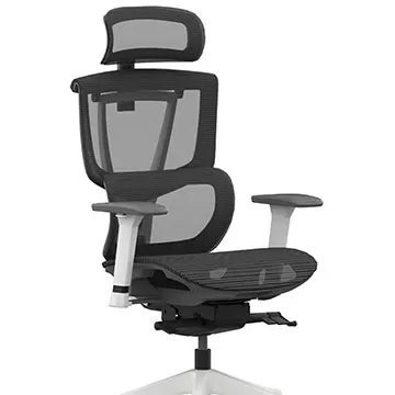 Flexispot C7 Ergonomic Chair