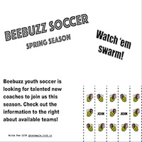 Beebuzz Soccer