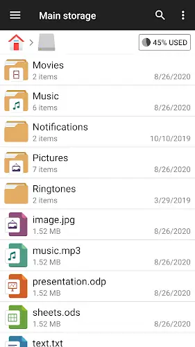 File Manager Screenshot 1