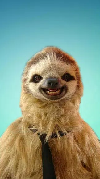 Sloth Wallpapers ဖန်သားပြင်ဓာတ်ပုံ 0