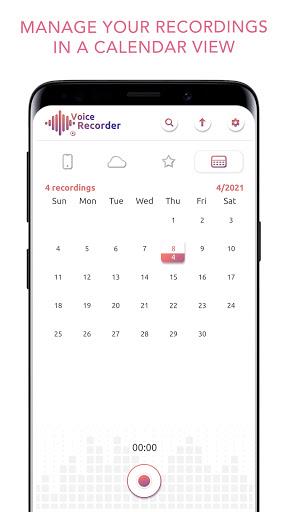 Voice Recorder and Editor App Screenshot 3