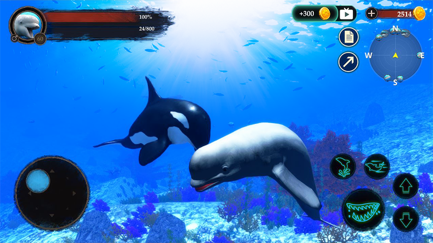 The Beluga Whale應用截圖第0張