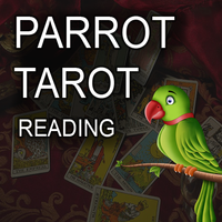 Parrot Tarot card Reading Fortune teller Astrology