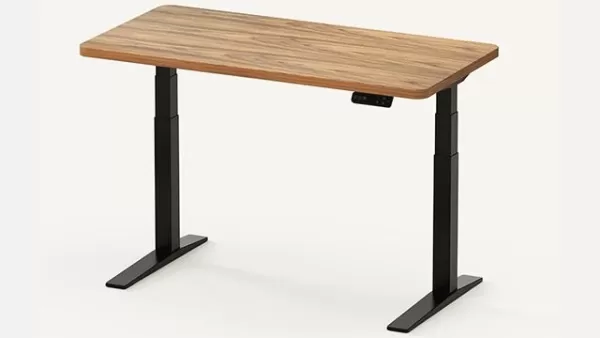 Flexispot E7 Pro Electric Standing Desk