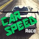 Car racing lite