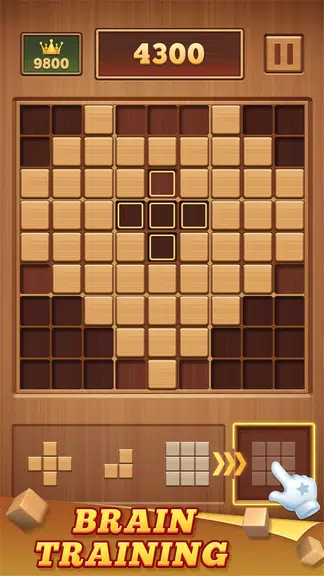 Wood Block 99 - Sudoku Puzzle Captura de pantalla 1