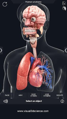 My Organs Anatomy應用截圖第3張