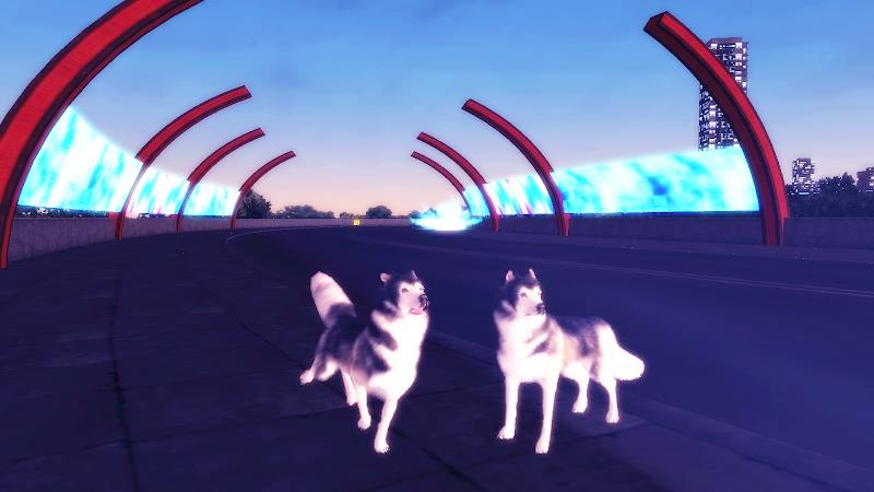 Husky Simulator Capture d'écran 1