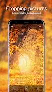 Autumn Wallpapers 4K Screenshot 3