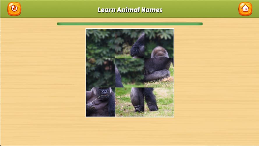 Learn Animal Names Captura de tela 3