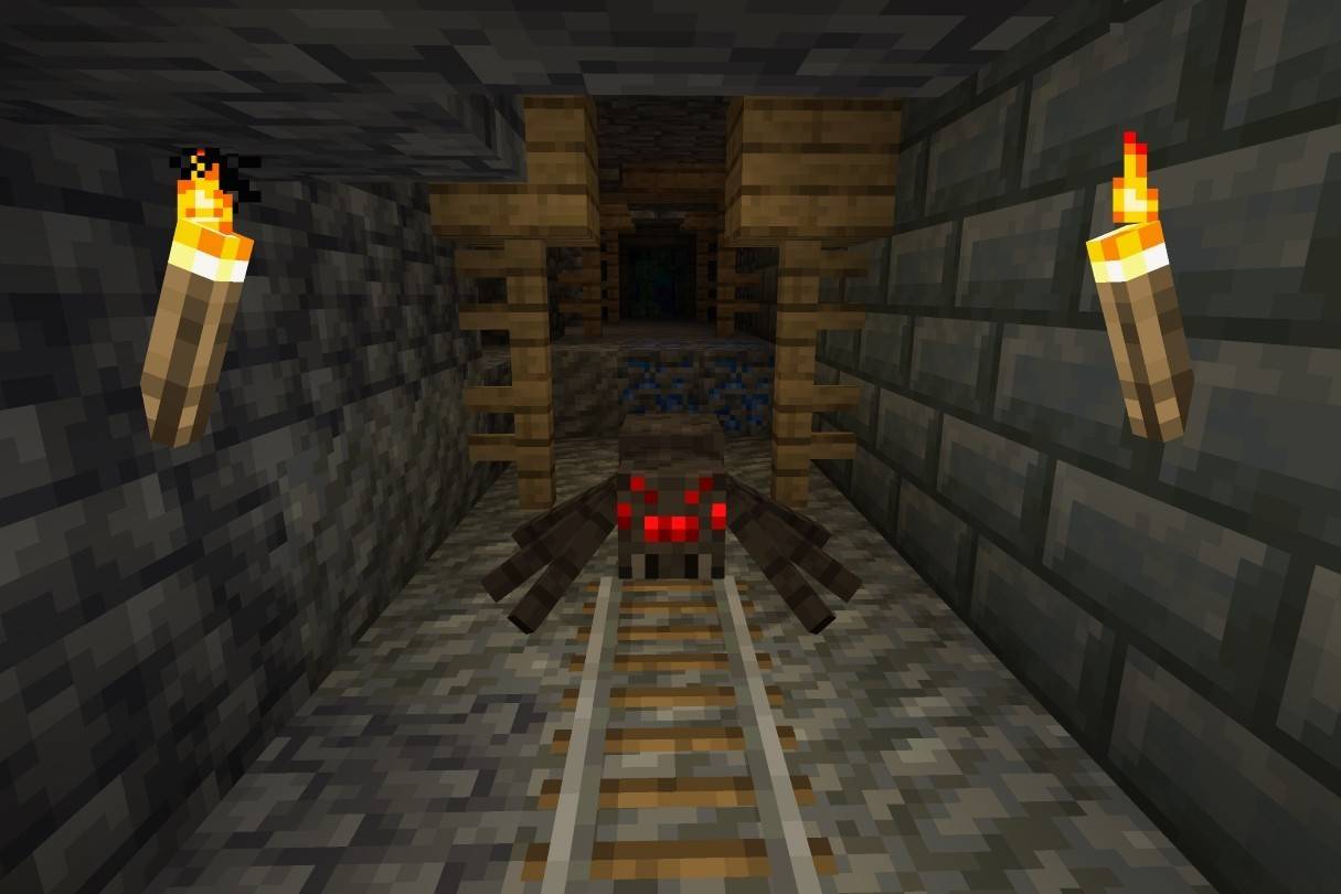 Spiders & Cave Spiders