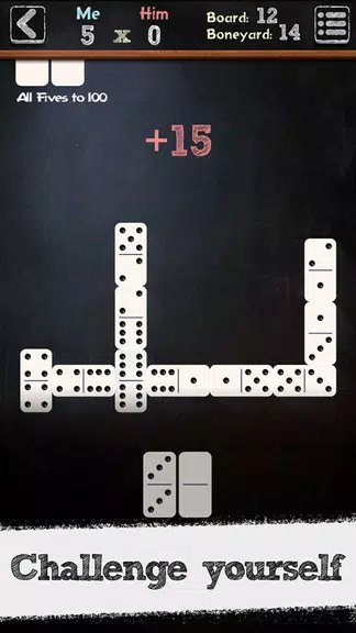 Schermata Dominoes Classic Dominos Game 0