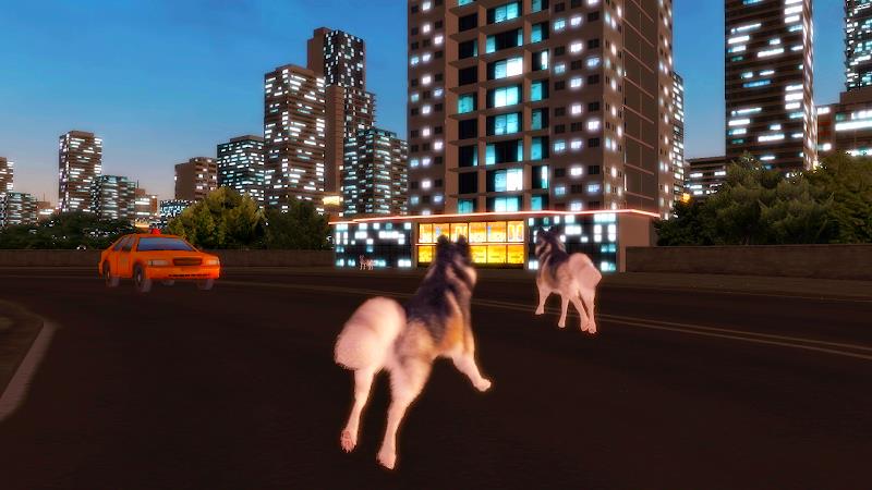 Husky Simulator Capture d'écran 2