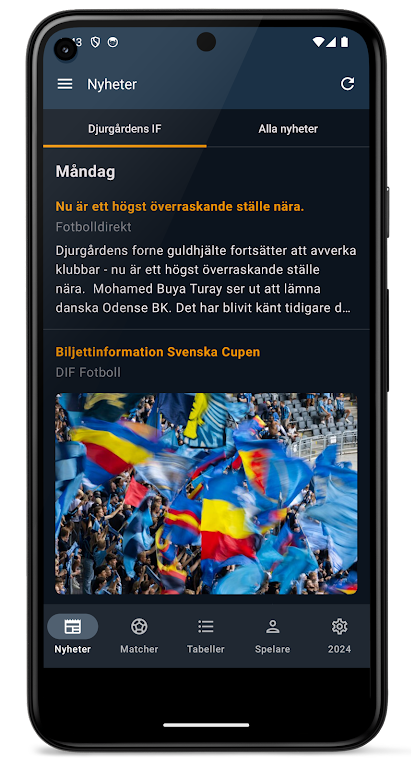 Allsvenskan 2024 Captura de tela 0