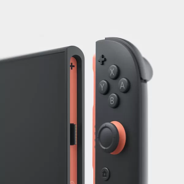 Nintendo Switch 2 Accessories