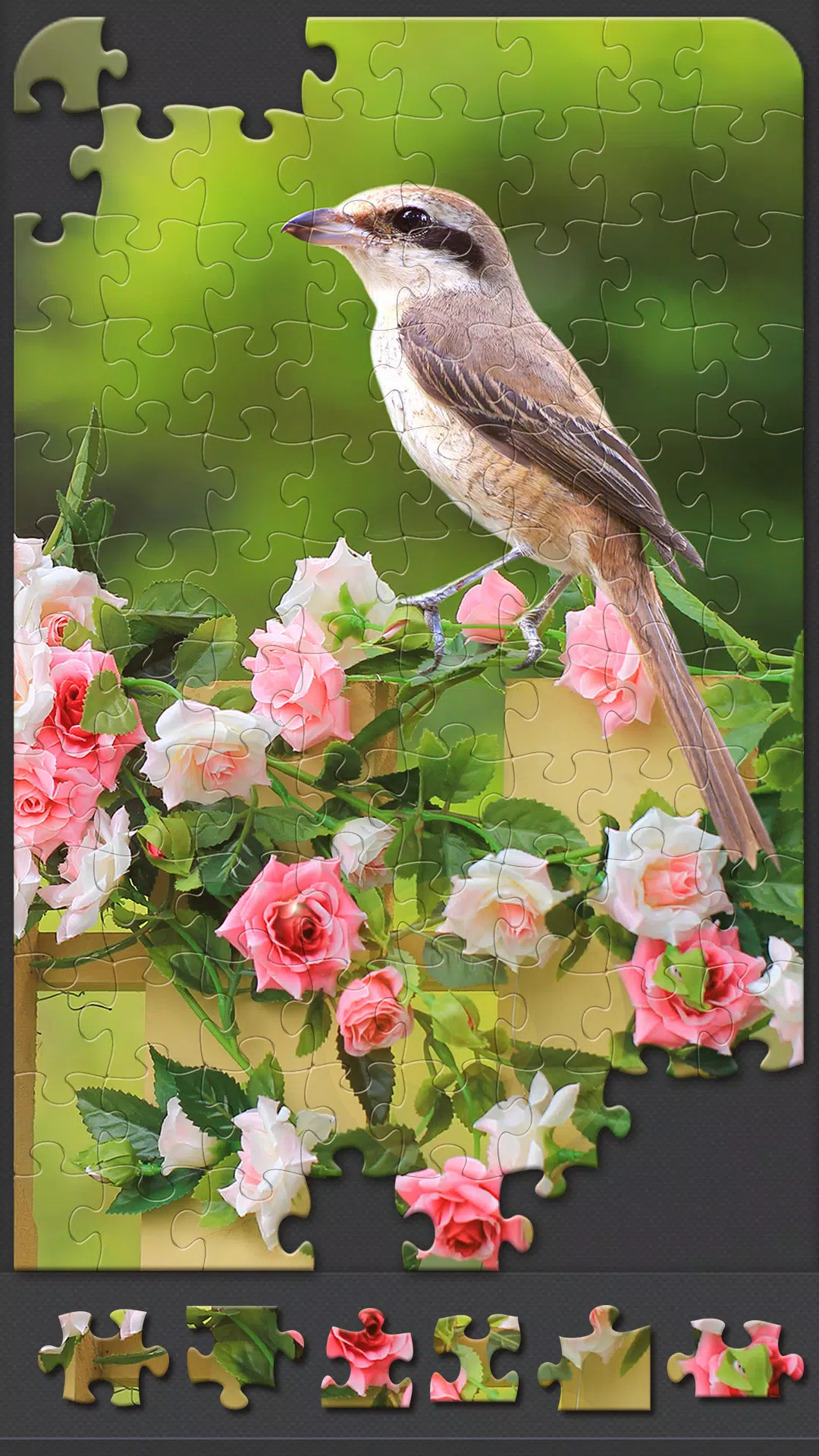 Jigsaw Puzzles for Adults স্ক্রিনশট 2