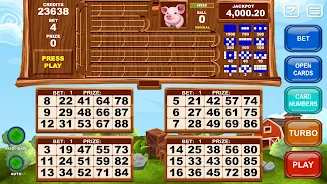 Video Bingo Little Farm Captura de tela 2