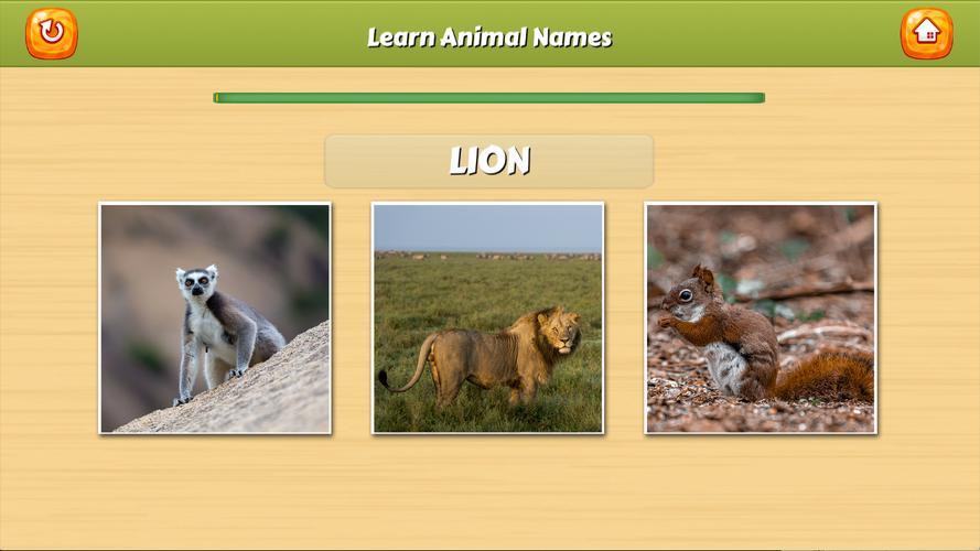 Learn Animal Names Captura de tela 2