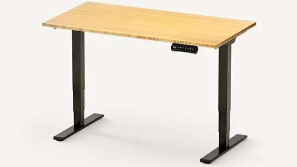 Flexispot E5 Electric Standing Desk