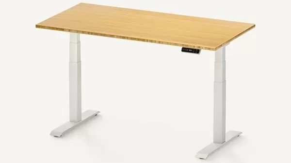 Flexispot E7 Electric Standing Desk