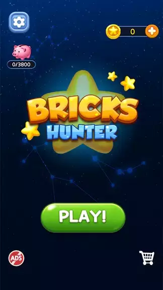 Bricks Hunter : Cube Puzzle Zrzut ekranu 0