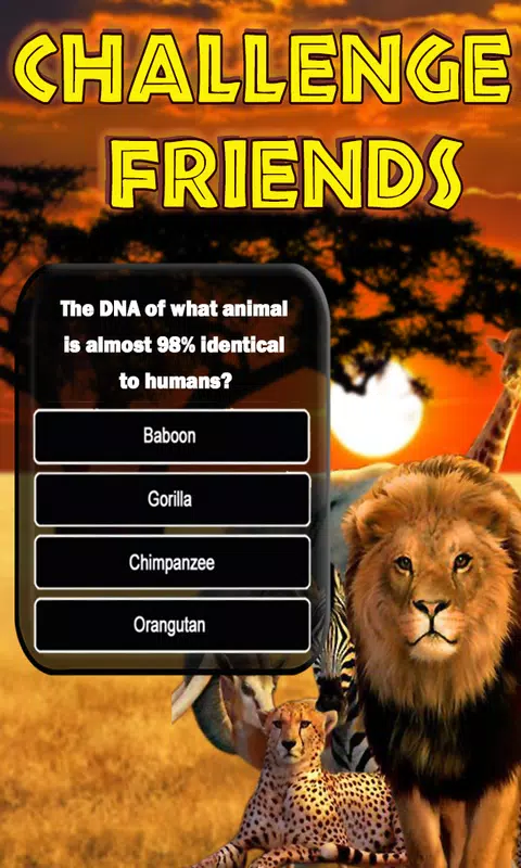 Animals Quiz Скриншот 2
