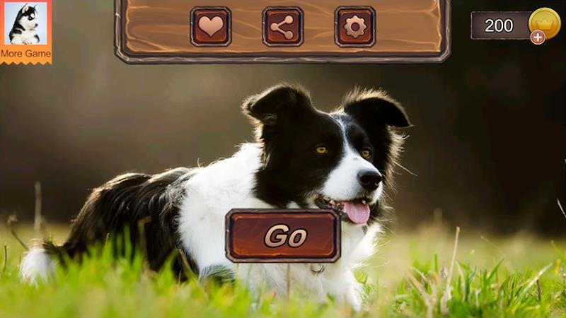 Border Collie Simulator Captura de tela 2