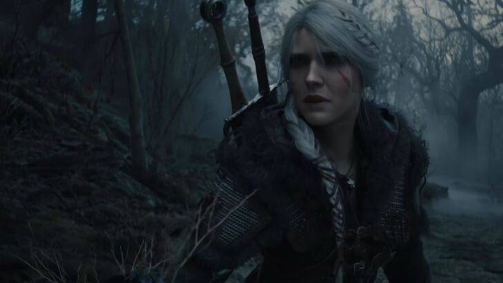 Ciri's Journey