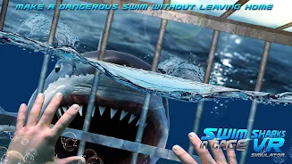 Schermata Swim Sharks Cage VR Simulator 1