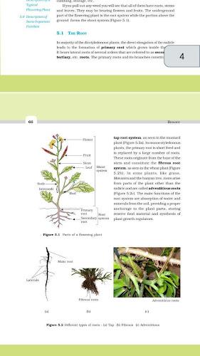 Class 11 Biology NCERT Book Zrzut ekranu 1