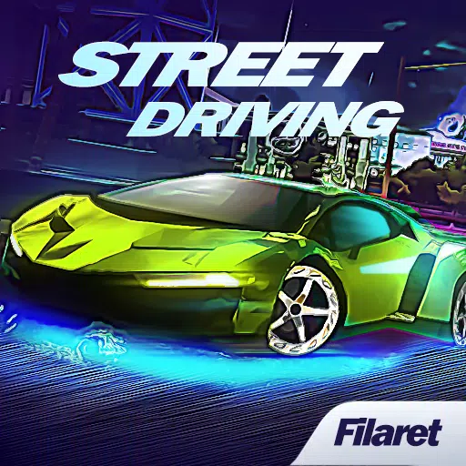 Car Street Driving 2024