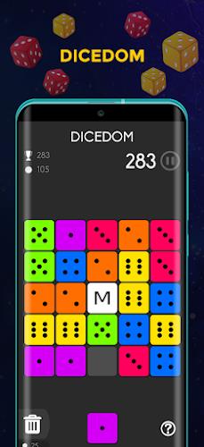 Dice Puzzle - Puzzle Game Captura de tela 1