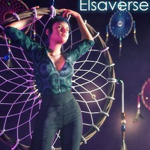 Elsaverse: Transitions